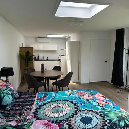 Vakantiehuis Casa Delfts Blauw *